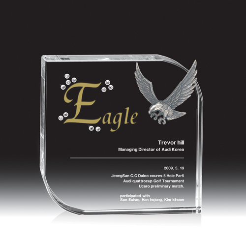 골프 트로피 HB-9100