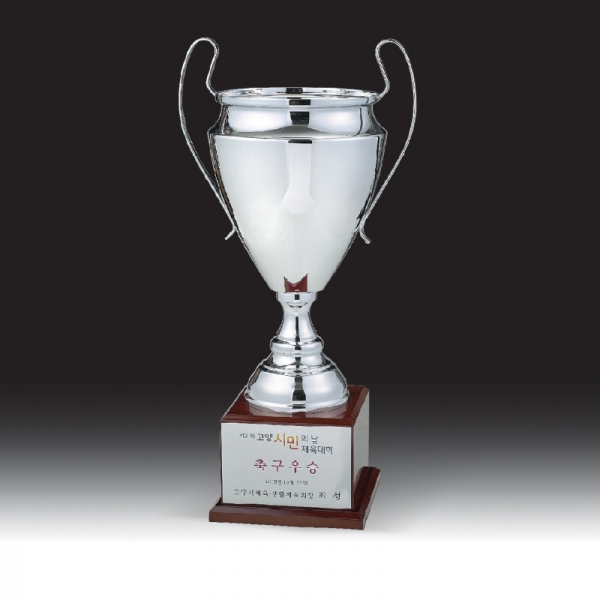 시상식 트로피 HB-9250